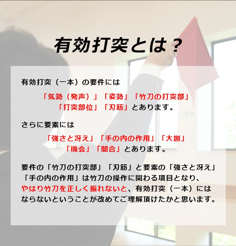 バイオテック 中太吟風仕組竹刀「上達型竹刀 -GRIP MASTER-」37〜39男女（中学生〜一般）【剣道竹刀・SSPシール貼付・男女用】