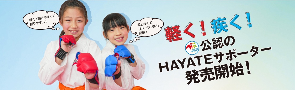 空手 防具 HAYATE・ミツボシ 国産 リバーシブル拳サポーター（両手1組）KH00001[M] : 453-999 : 東山堂 Yahoo!店 -  通販 - Yahoo!ショッピング