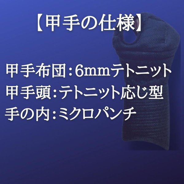 剣道 小手 洗える A-1α BIOCLEAN MARK2 6ミリ テトニット 甲手 防具