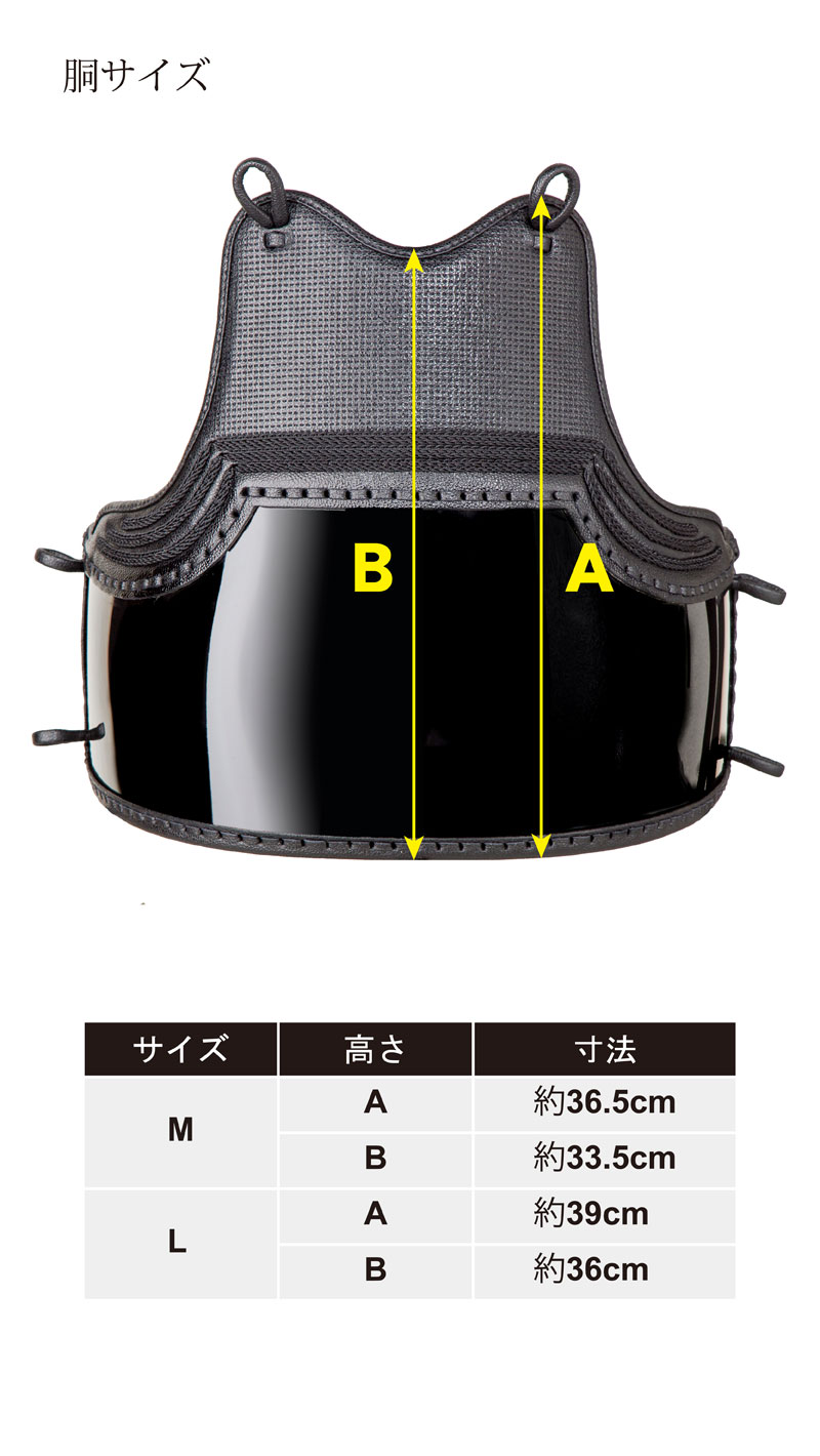 剣道 防具 セット 天 アスリート 4点セット(面・胴・小手・垂) M/L 6mm 