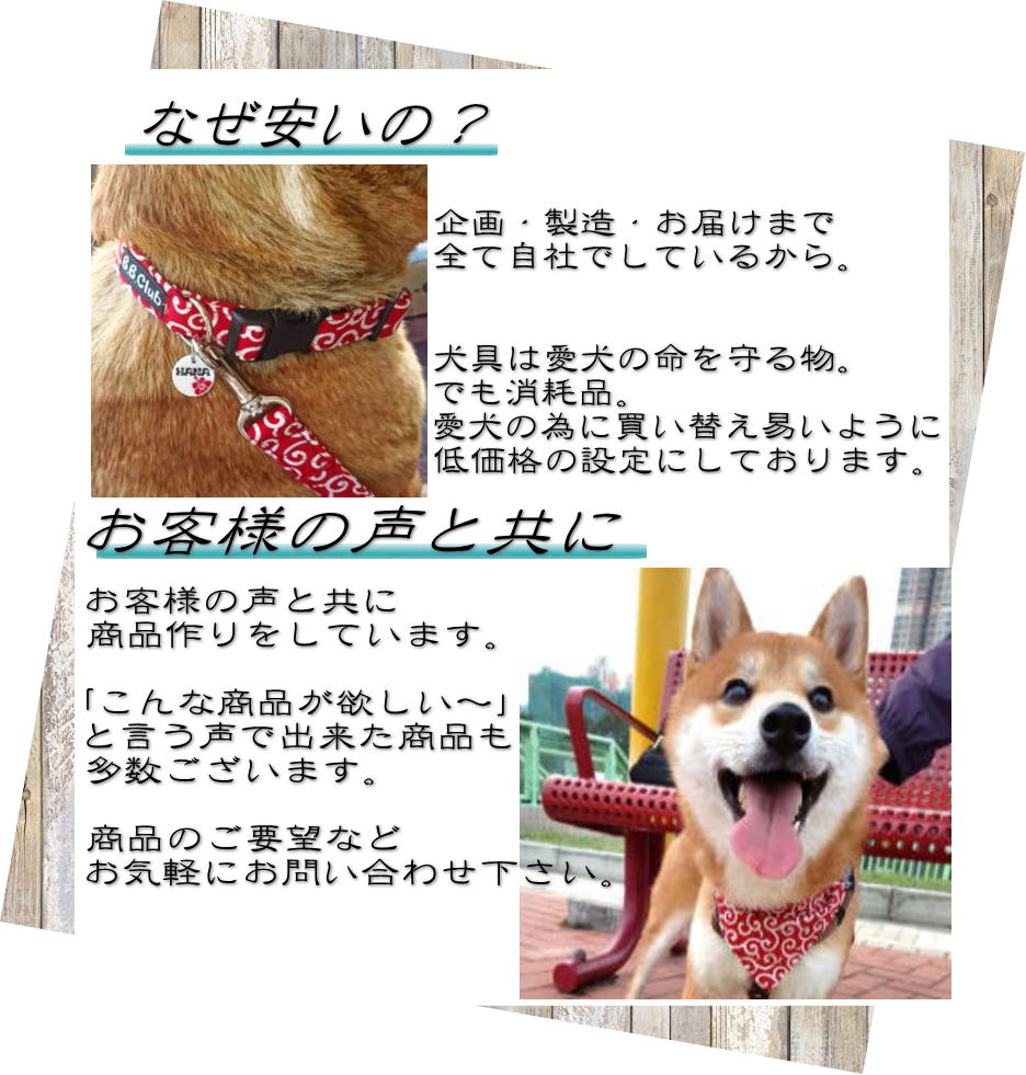 今季ブランド 保冷剤5個付き クールバンダナ S 小型犬用 首周り25 35ｃｍまで ひえひえ 熱中症予防 アイス Cool Whitesforracialequity Org