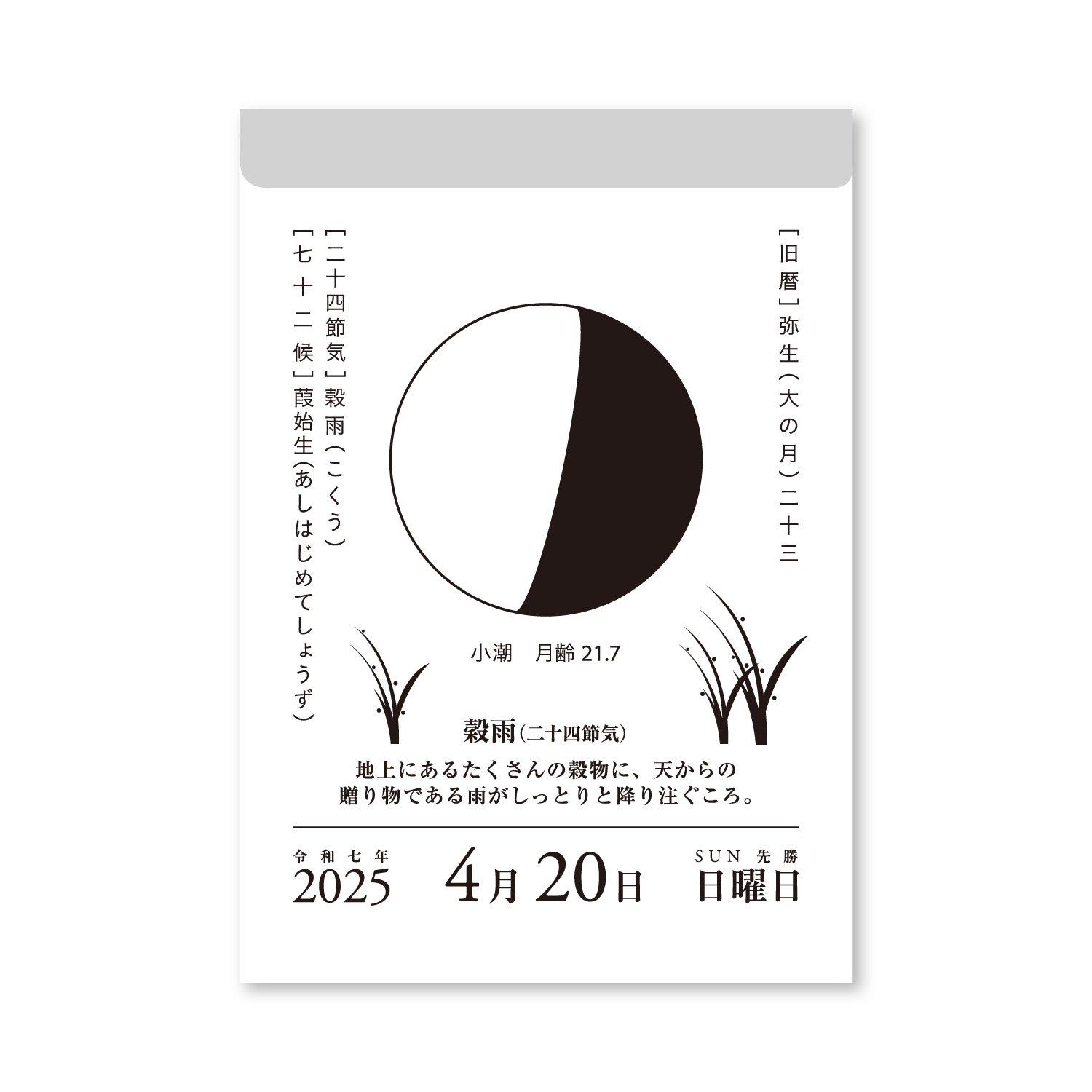 2025年カレンダー］月と暦 日めくり NK8812 □ （1月始まり） 新