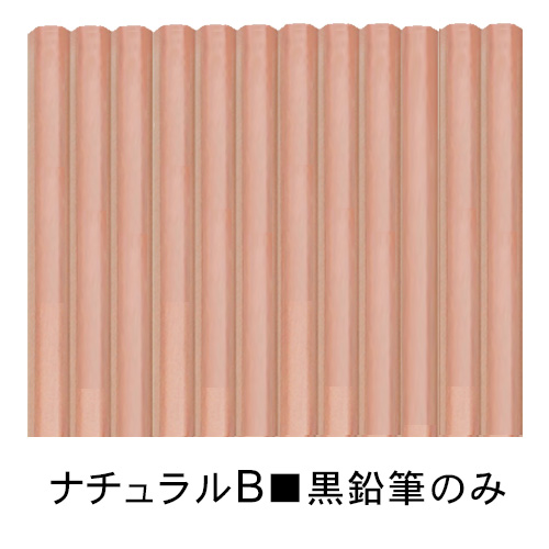 名入れ 鉛筆 1ダース 2B B 六角軸鉛筆10本+赤鉛筆2本 ケース付属 ナチュラル えんぴつ 入学祝い 入学準備 ポイント利用 | 三菱鉛筆 | 06