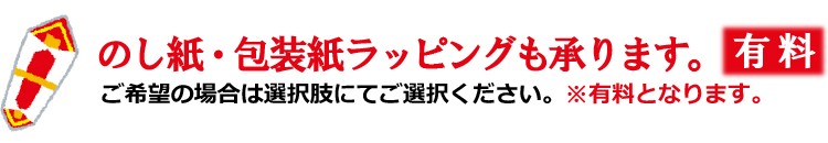 のし包装紙