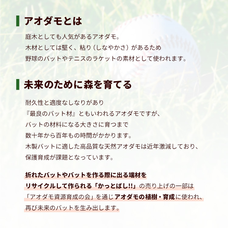 売り上げの一部は バットの素材になるアオダモの森の育成のために使われます