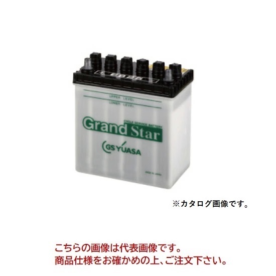 【直送品】 GSユアサ バッテリー EB グランドスター 小型電動車用鉛蓄電池 EB25 TE :gsy eb25 te:部品屋さん