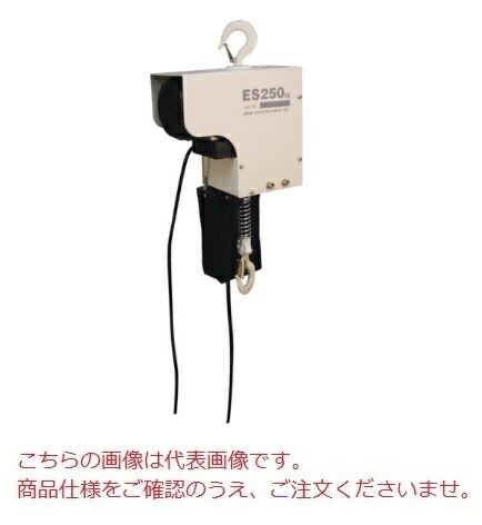 【直送品】 スリーエッチ H.H.H 電気チェーンブロック ES250kg×3m (ES250X3) :hhh es250kgx3m:部品屋さん