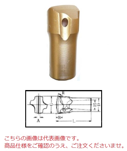 【直送品】 平戸金属 テーパーカービット TC22-42 (22H 42mm)