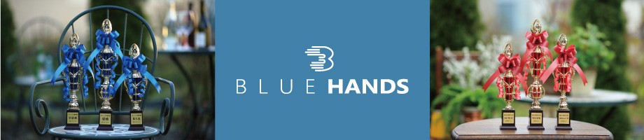 BLUE HANDS ヘッダー画像