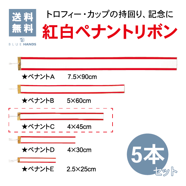 Cサイズ　45cm　5本セット