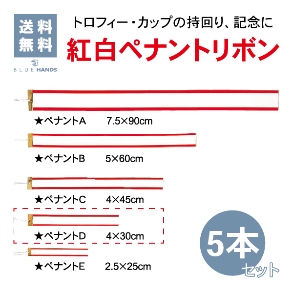 Dサイズ　30cm　5本セット