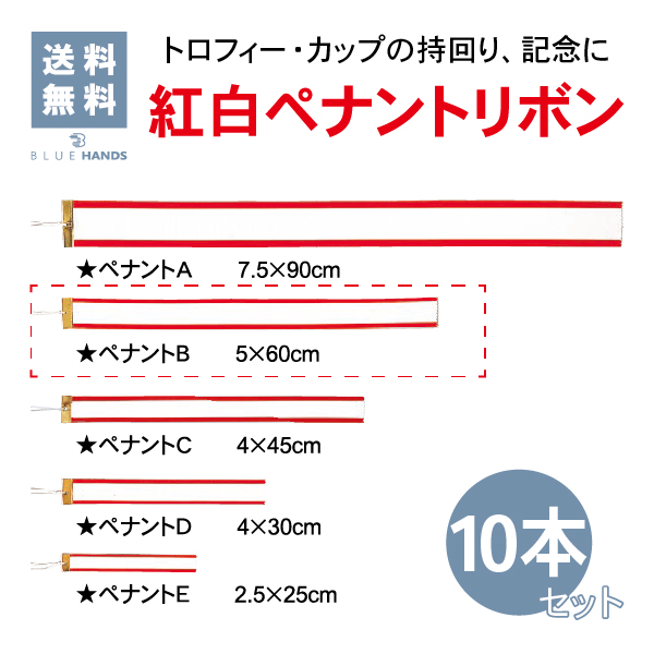 Bサイズ　60cm　10本セット