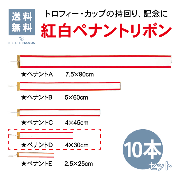 Dサイズ　30cm　10本セット