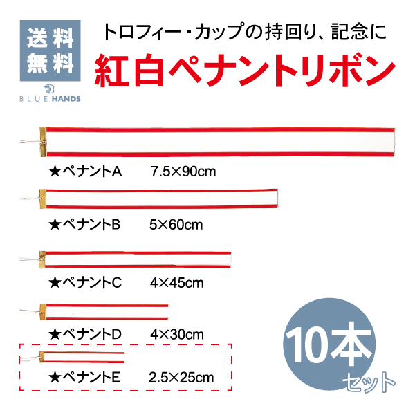 Eサイズ　25cm　10本セット