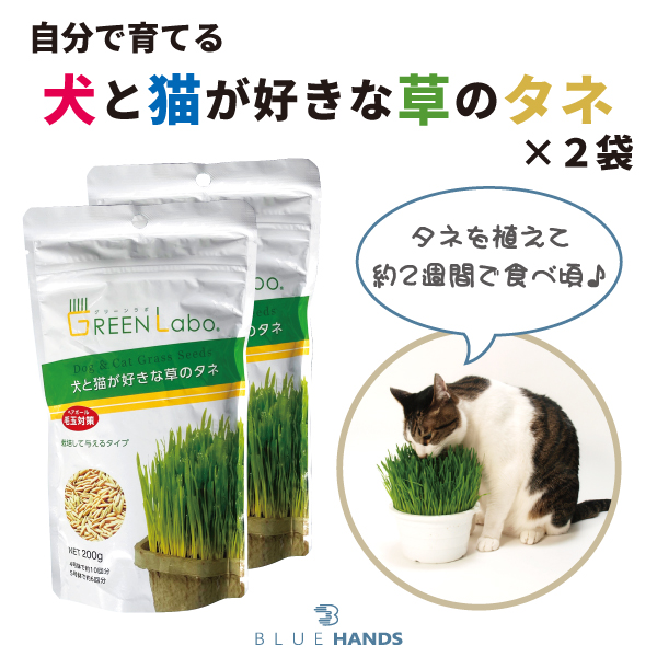 犬と猫が好きな草のタネ　2個セット