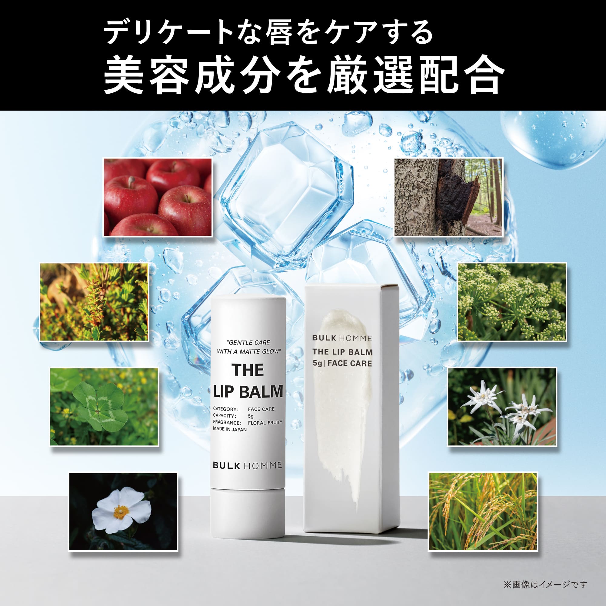 BULK HOMME（バルクオム） リップクリーム メンズ THE LIP BALM リップ