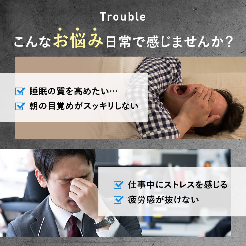 BULK HOMME（バルクオム） 【機能性食品】THE PROTEIN（ ザ プロテイン