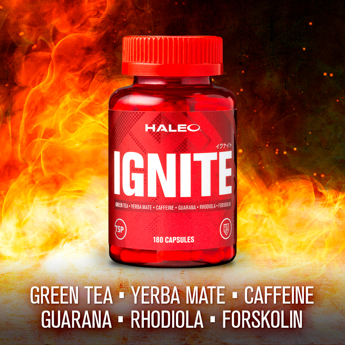 HALEO IGNITE ハレオ イグナイト ダイエット 脂肪燃焼 サプリ