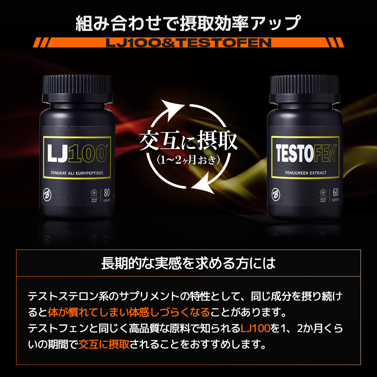テストフェンを交互に使用することで摂取効率アップ