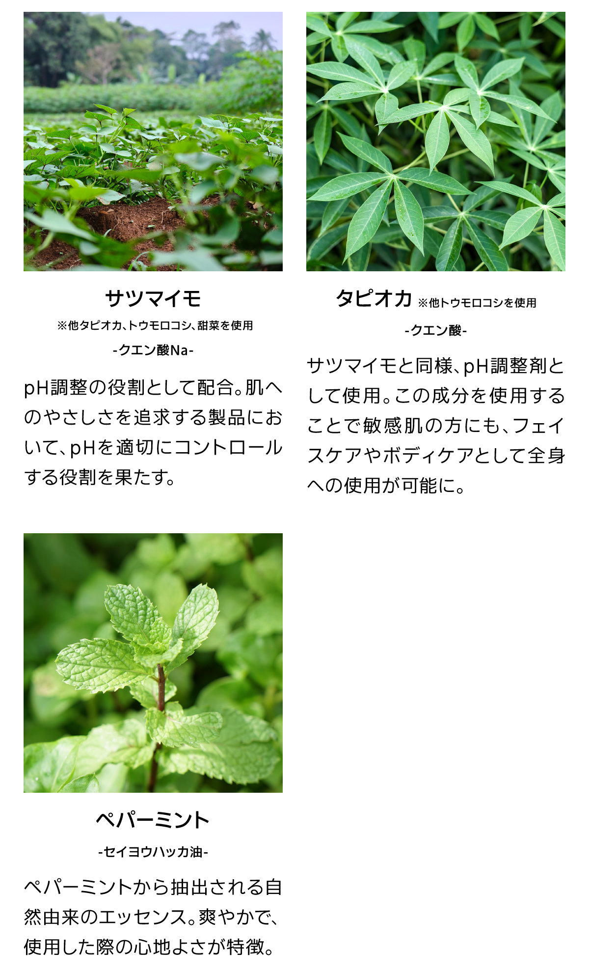 自然が育んだ9つの恵み