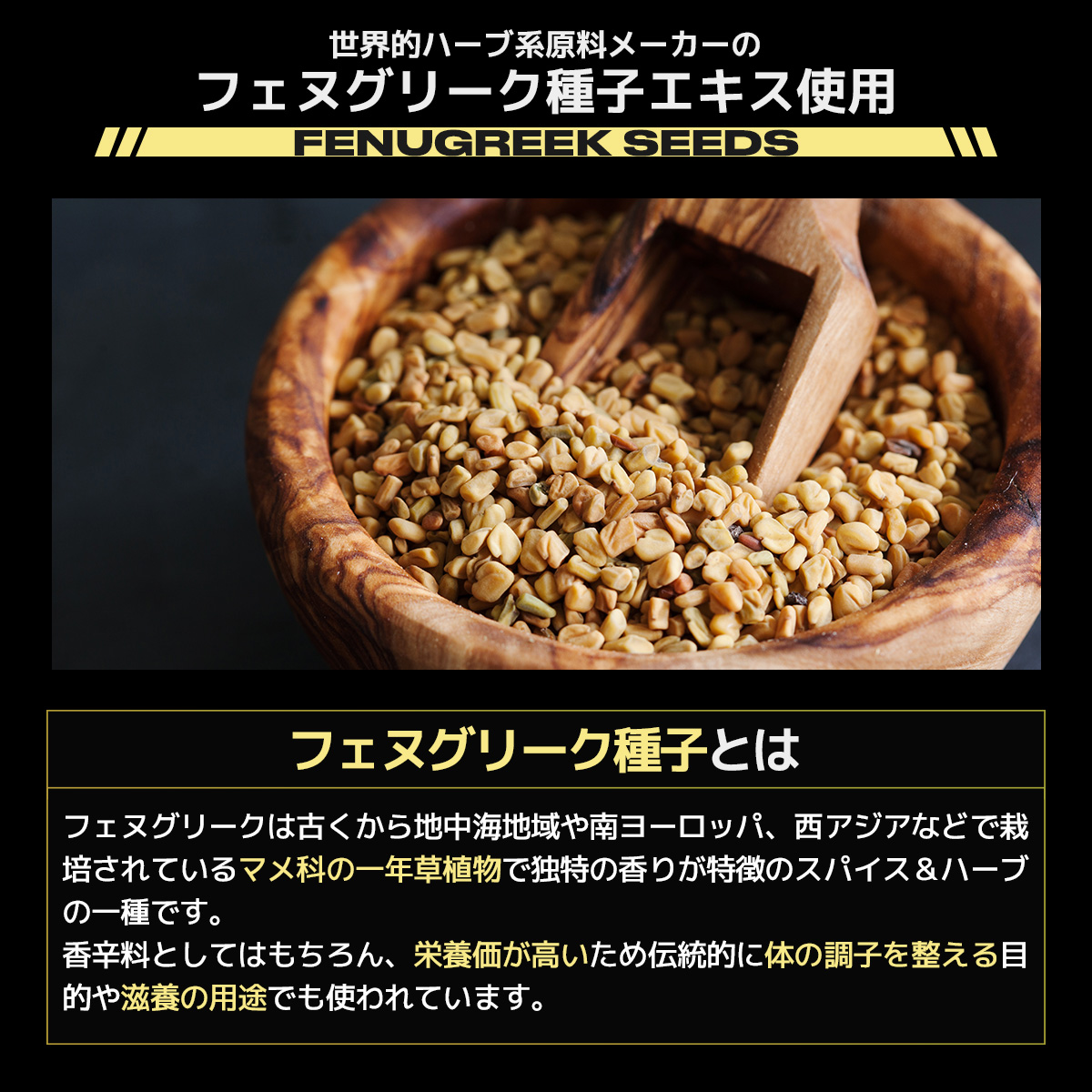 滋養の用途でも使われるフェヌグリーク種子エキスを使用