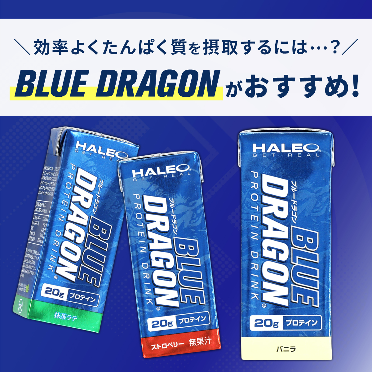 ハレオ ブルードラゴン 200ml×24本セット BLUE DRAGON HALEO 