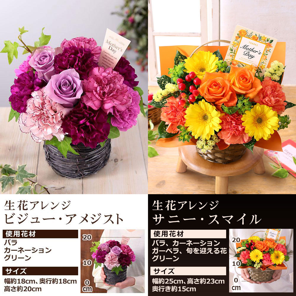 花束アレンジメント 遅れてごめんね！ 母の日 2026 ギフト プレゼント 花 いつ フラワー