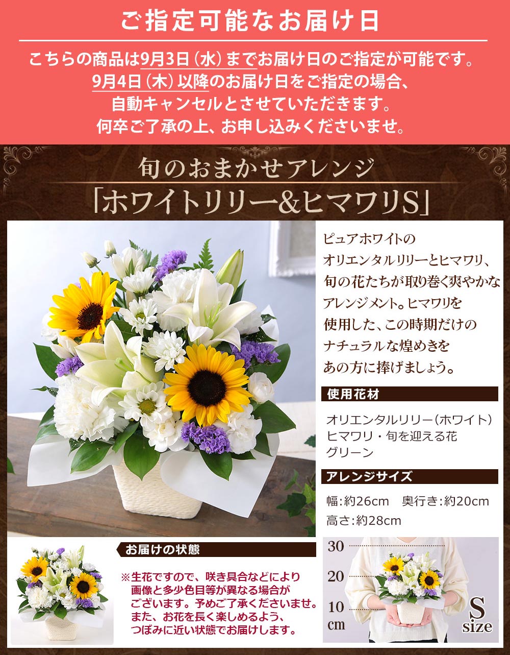 パパイヤ　10kg クール便発送！ MITSUBISHI IH炊飯ジャー 炭炊釜 熾火 5.5合炊き 月白 NJ-VP10G