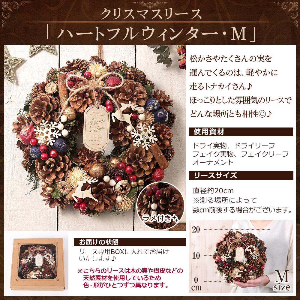 あすつく 14時まで クリスマス リース ナチュラルリース Mサイズ 送料無料 誕生日 プレゼント ギフト 花 お花 女性 お祝い 冬 玄関 ドア  :usual-020:BunBun!Bee - 通販 - Yahoo!ショッピング