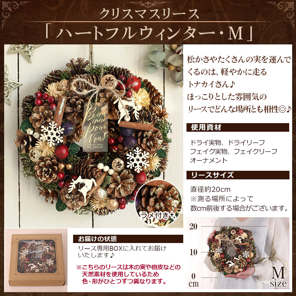 あすつく 14時まで クリスマス リース ナチュラルリース Mサイズ 送料