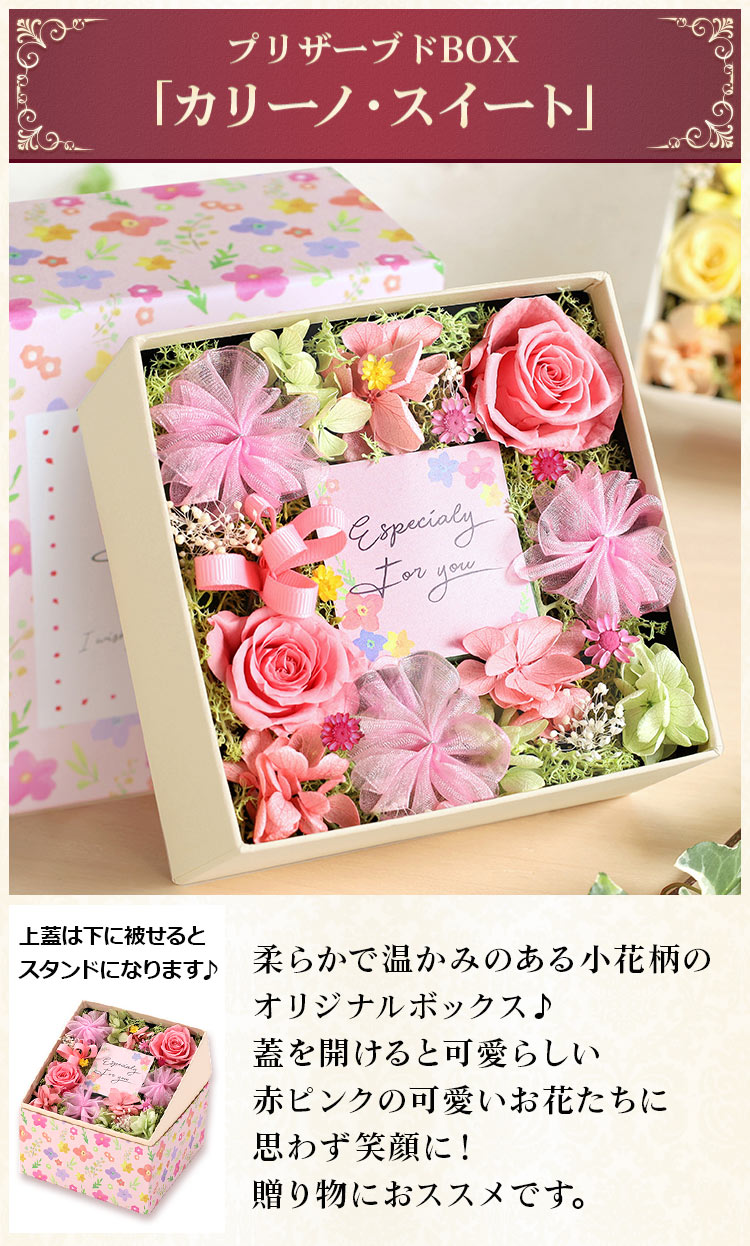 プリザーブドフラワー アレンジメント お花の香り ピンクベア ギフトケース付き BunBunBee 花 プリザーブドフラワー プリザーブドBOX 送料無料 誕生日