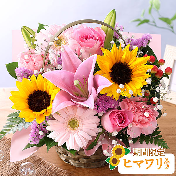 【増量♡】ひまわり 生花 生花】ヒマワリ オレンジ芯黒 そう花園(φ約7〜10cm程度)【早締切