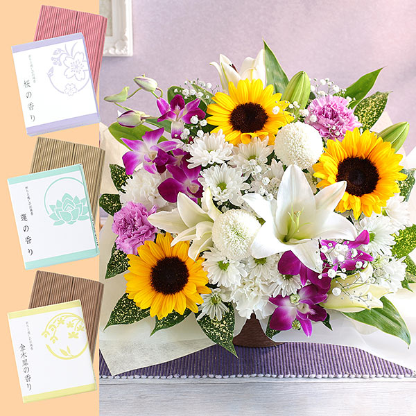 ほんわか全開幼なじみ 涼花 4枚セット ヴァイスシュヴァルツ ほんわか