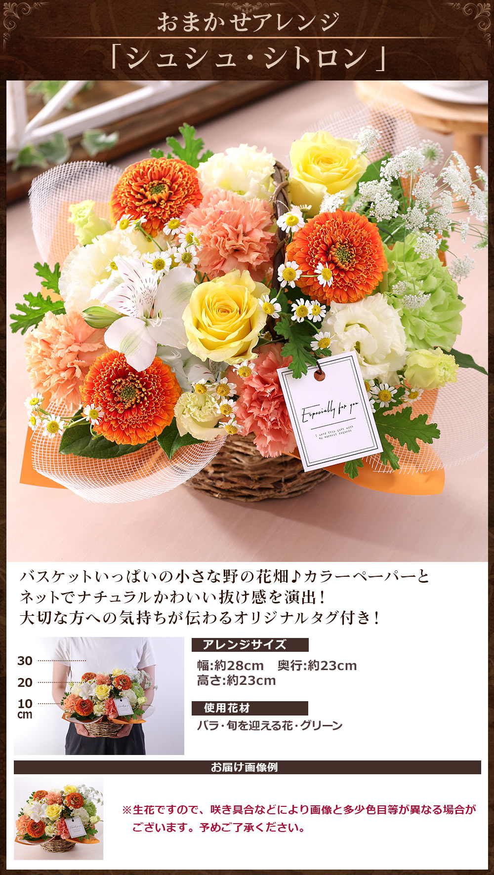BunBunBee クール便 最短翌日届け 14時まで 花 誕生日