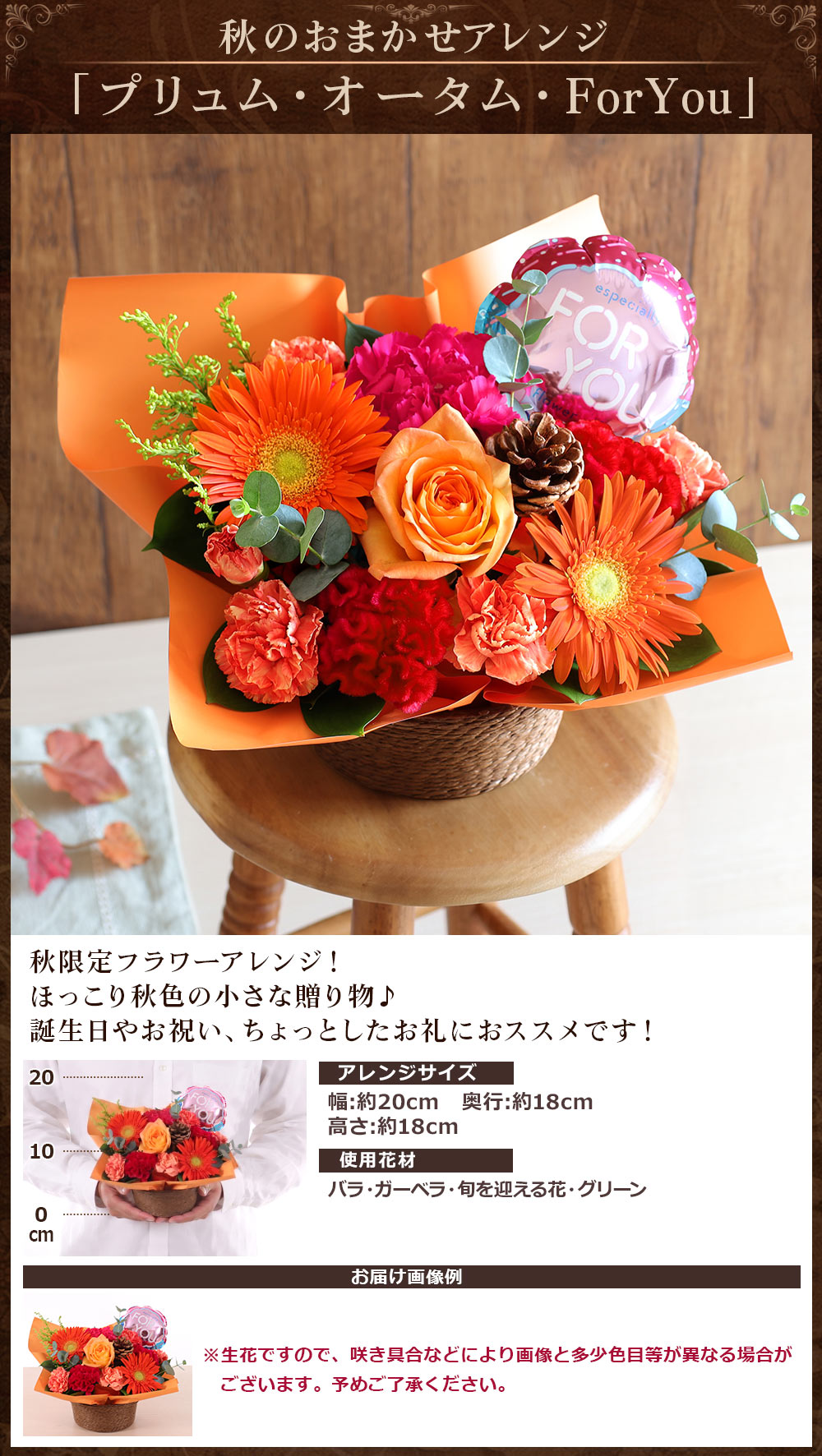 花束、切花｜生花｜花、ガーデニング おすすめ人気商品 通販 - Yahoo