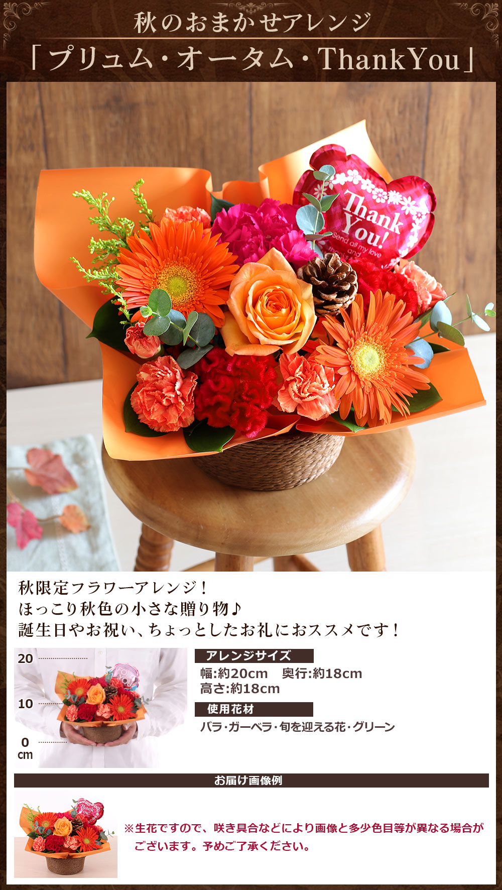 花束、切花｜生花｜花、ガーデニング おすすめ人気商品 通販 - Yahoo