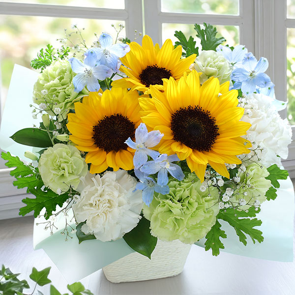 はなはなショップ（花種類：バラ）の商品一覧 通販 - Yahoo!ショッピング