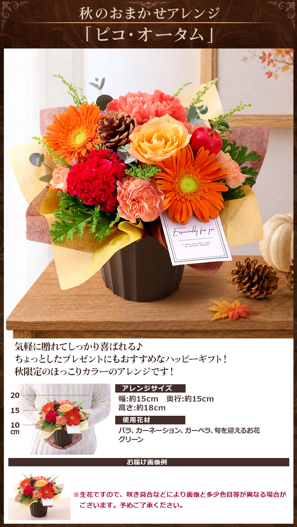 �� �a���� �h�V �h�V�̓� �N�[���֑Ή� �v���[���g �t�����[�A�����W�����g ���܂����A�����W �v������ �H �o�� �K�[�x�� �M�t�g ���� �摜�z�M ���i�摜3