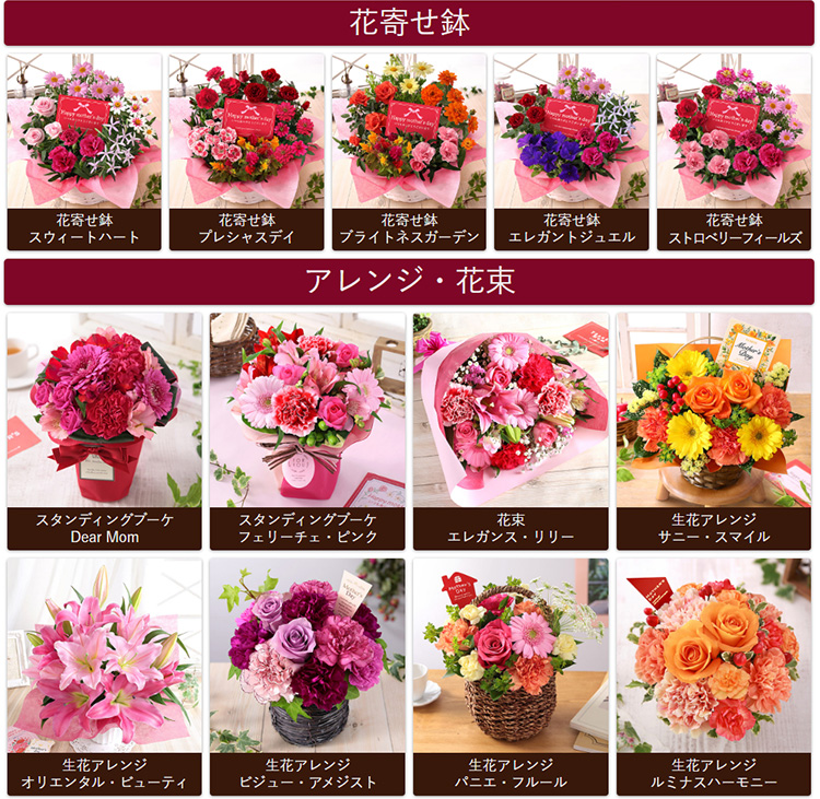 早割実施中！ 母の日 2026 プレゼント 花 ギフト 鉢植え アジサイ