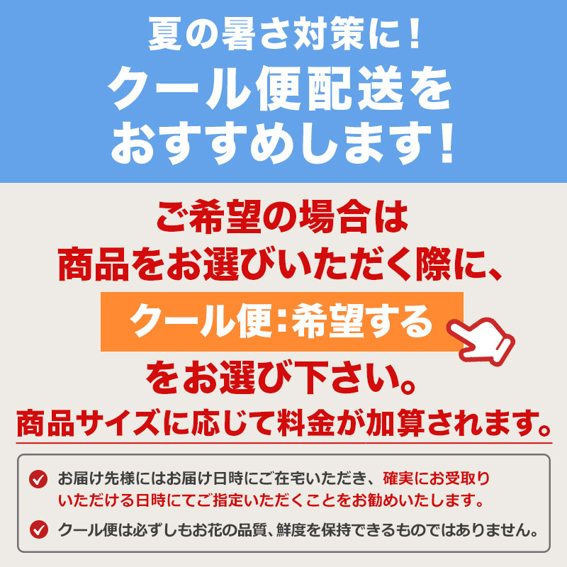 クール便対応 花束 花 誕生日 プレゼント フラワー おまかせアレンジメント Sサイズ 生花 お花 バラ ユリ ひまわり 向日葵 お祝い ギフト 画像配信 関連画像1