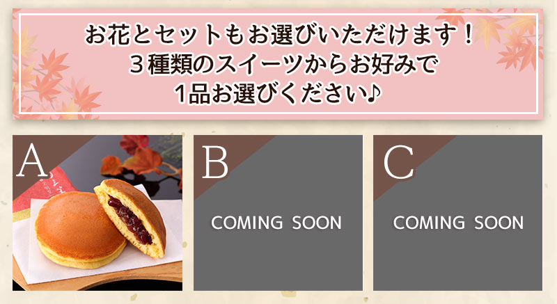 早割実施中! 敬老の日 2026 ギフト プレゼント 花鉢 8種類 & 人気銘店スイーツ セット 孔雀草 リンドウ 文明堂東京 鉢植え 5号鉢 敬老会 イベントギフトD7 関連画像3