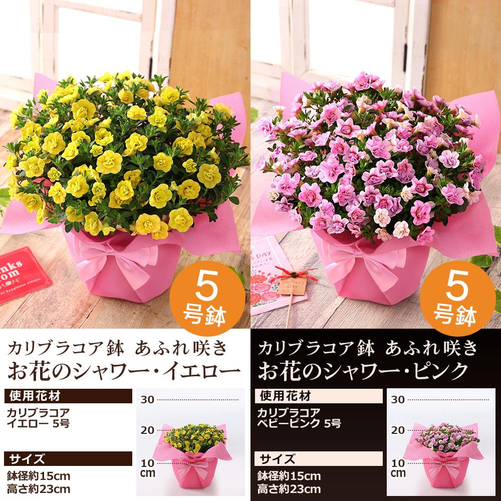 5セット】アビランド リモージュ PLAZA 薔薇 花籠 ガーランド 【公式通販】