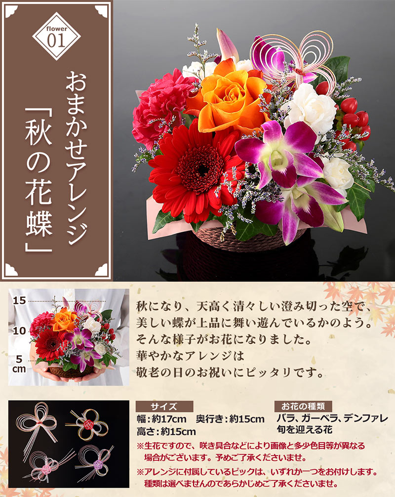 早割実施中! 敬老の日 2026 ギフト プレゼント 花 アレンジメント 花とスイーツ セット 和菓子 送料無料 敬老の日2026 イベントギフトB4 関連画像4