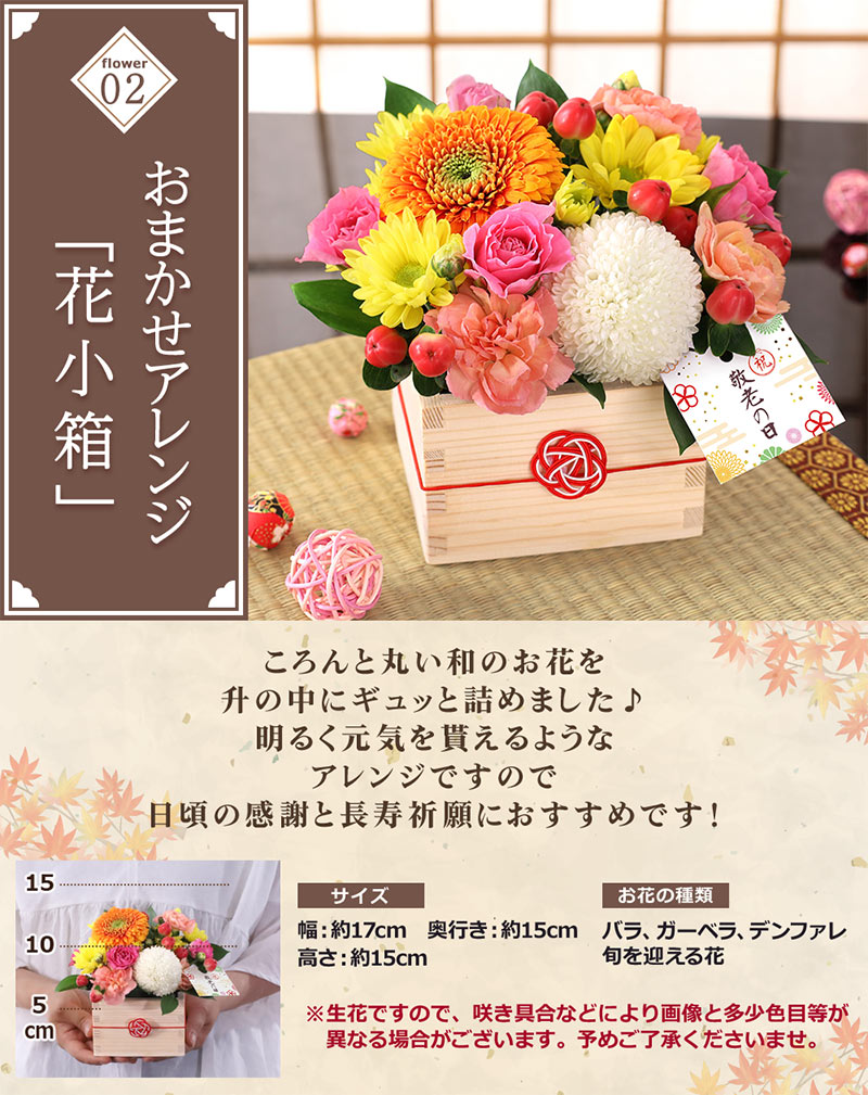 早割実施中! 敬老の日 2026 ギフト プレゼント 花 アレンジメント 花とスイーツ セット 和菓子 送料無料 敬老の日2026 イベントギフトB4 関連画像5