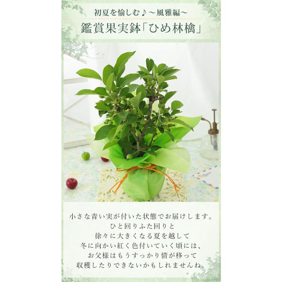 Df I3viczomlam Df I3viczomlam