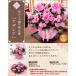早割実施中! 敬老の日 2026 ギフト プレゼント 花鉢 8種類 & 人気銘店スイーツ セット 孔雀草 リンドウ 文明堂東京 鉢植え 5号鉢 敬老会 イベントギフトD7 関連画像5