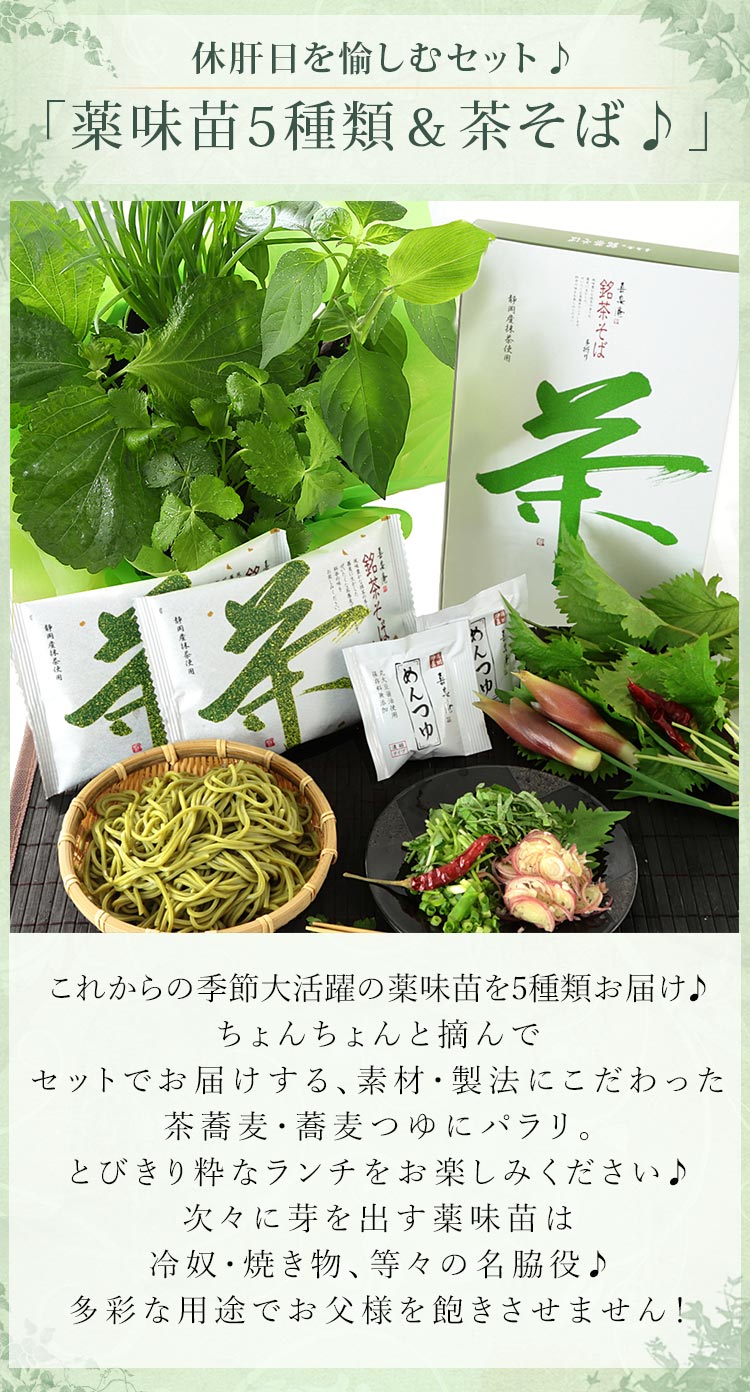 父の日 プレゼント ギフト おつまみ セット 育てて楽しむ 植物 苗 鉢植え 野菜 薬味 花 茶そば 讃岐うどん メッセージカード付き 送料無料 イベントギフトD 2024｜bunbunbee｜05