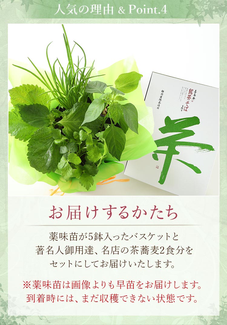 父の日 プレゼント ギフト おつまみ セット 育てて楽しむ 植物 苗 鉢植え 野菜 薬味 花 茶そば 讃岐うどん メッセージカード付き 送料無料 イベントギフトD 2024｜bunbunbee｜09