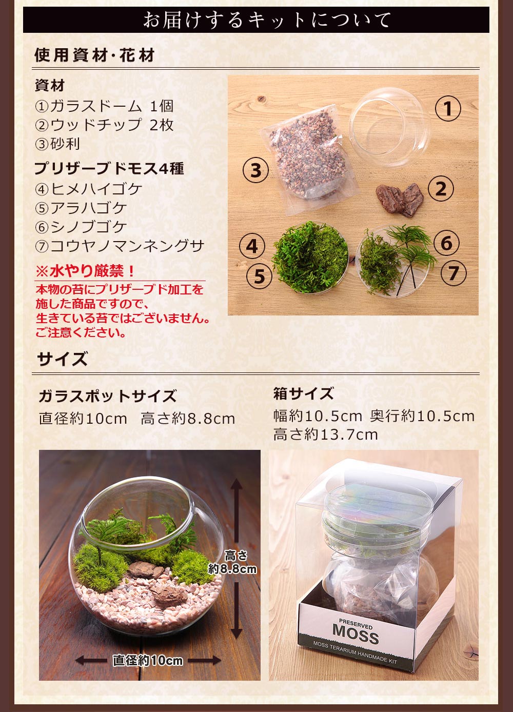 父の日 プレゼント ギフト 苔 テラリウム キット ハンドメイドキット プリザーブドモス 手作り おしゃれ 送料無料 イベントギフトE 2026 ポイント利用 | BunBunBee | 08