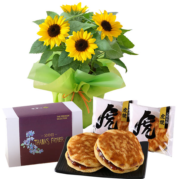父の日 花 プレゼント ギフト スイーツセット 花鉢 鉢植え ヒマワリ鉢5号 メッセージカード付き 送料無料 イベントギフトF2 2026 ポイント利用 | BunBunBee | 01